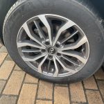 WhatsApp Image 2024-09-05 at 8.09.47 AM (3)