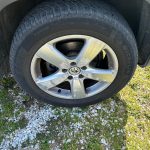 WhatsApp Image 2026-01-17 at 12.26.22