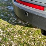 WhatsApp Image 2026-01-17 at 12.26.22 (2)