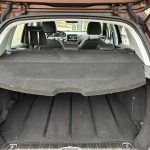 WhatsApp Image 2026-01-13 at 10.03.34 (10)