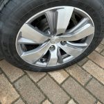 WhatsApp Image 2026-01-13 at 10.03.34 (8)