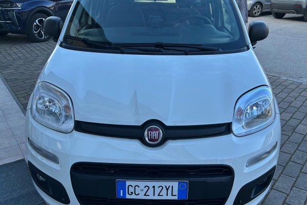 WhatsApp Image 2026-01-23 at 12.34.30 (2)