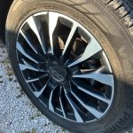 WhatsApp Image 2026-02-25 at 16.44.17 (2)