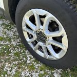 WhatsApp Image 2026-03-05 at 12.19.53 (13)