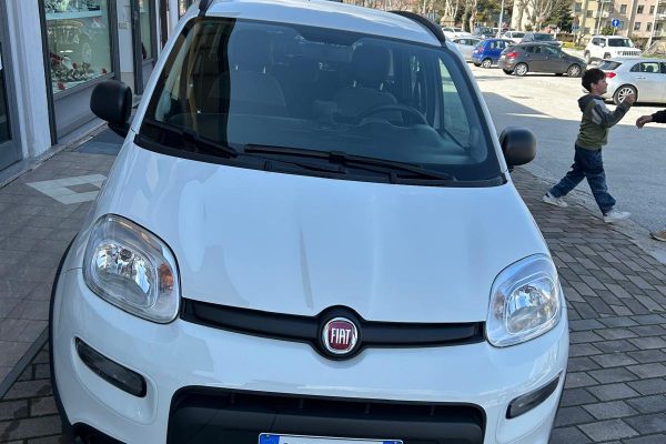 WhatsApp Image 2026-03-07 at 11.27.10 (2)